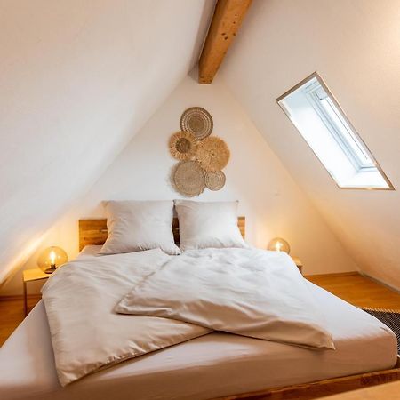 Pfaelzer Nest Daire Pleisweiler-Oberhofen Dış mekan fotoğraf